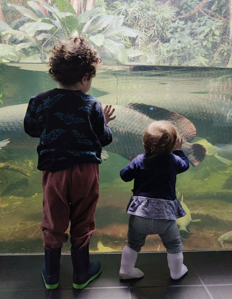 Aquarium Berlin with young kids